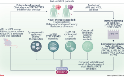 Dual specific STAT3/5 degraders effectively block acute myeloid leukemia and natural killer/T cell lymphoma – Pölöske et al.