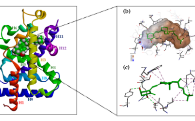 Structure and the Anticancer Activity of Vitamin D Receptor Agonists – Powała et al.