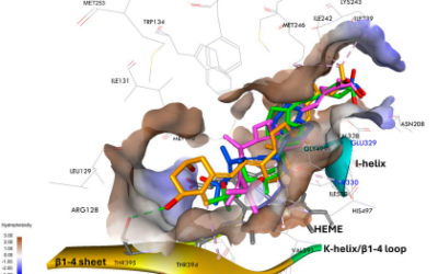 Metabolic Interactions of Side-chain Extended and Unsaturated Vitamin D Analogs with Cytochrome P450 Enzymes – Zołek et al.